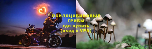 дживик Алексеевка