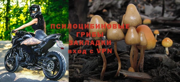 твердый Алексин